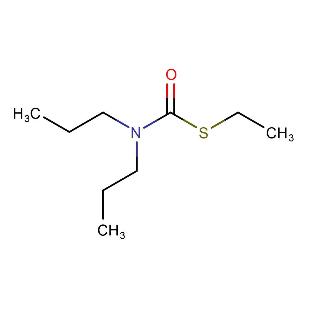 2d_structure