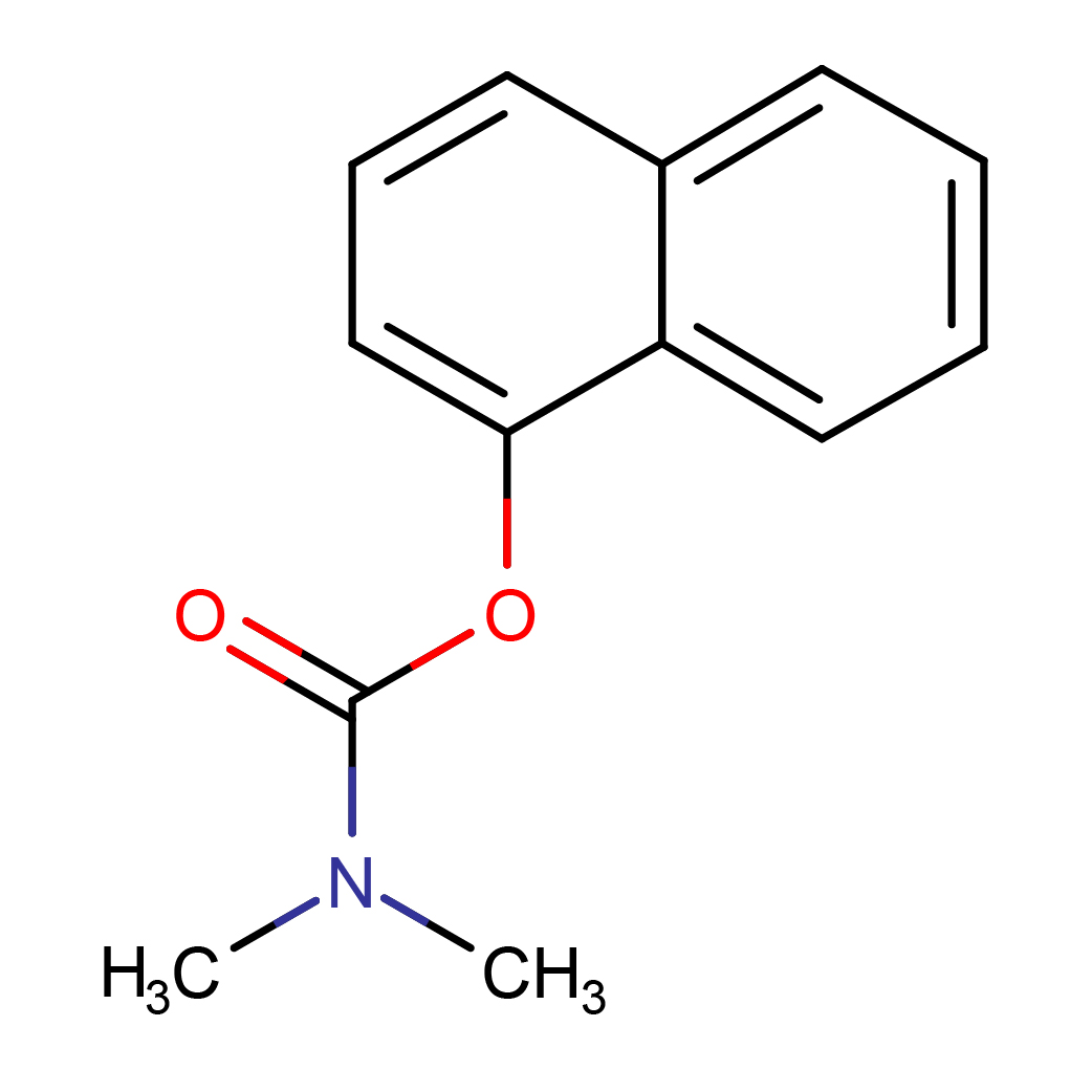 2d_structure