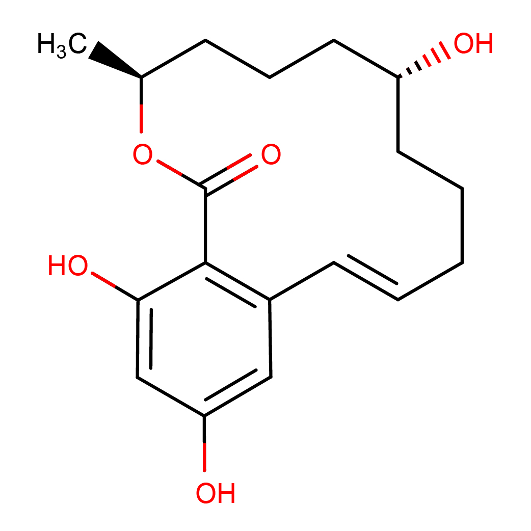 2d_structure