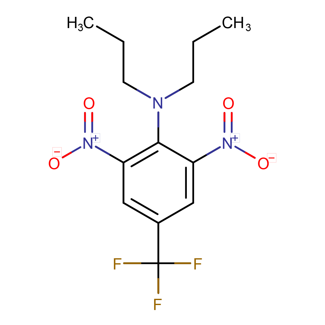 2d_structure