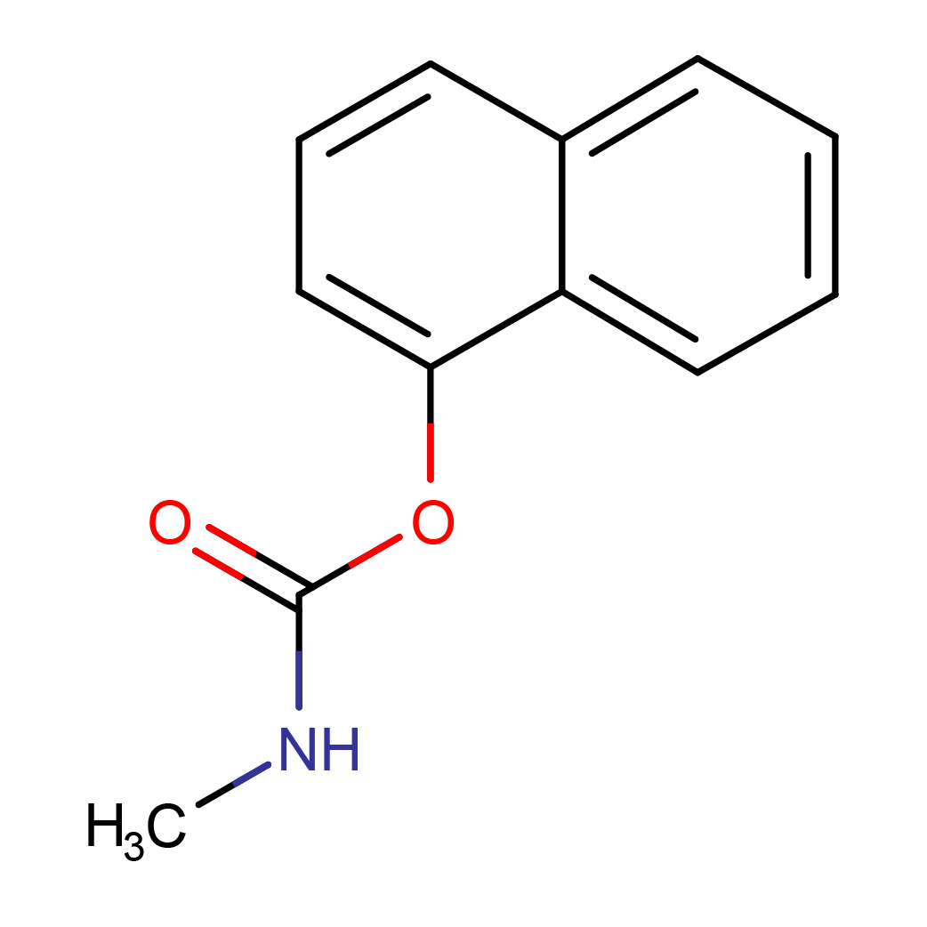 2d_structure