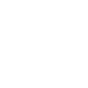 polymer